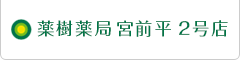 薬樹薬局 宮前平 2号店